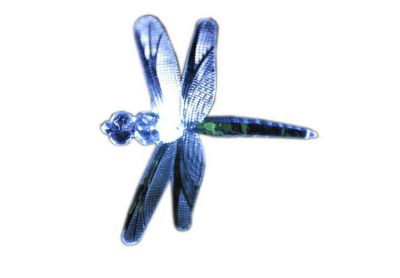 Zahradní  solární dekorativní LED osvětlení - Vážky 24 LED diod