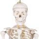 Anatomický model lidské kostry 181 cm na stojanu