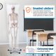 Anatomický model lidské kostry 181 cm na stojanu