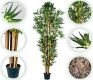 PLANTASIA Umělý strom bambus, 220 cm