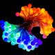 Párty osvětlení 10 m, 100 LED diod, barevné, ovladač