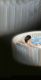INTEX Bazén vířivý nafukovací Pure Spa, Bubble HWS