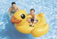 Nafukovací lehátko kachna - malé