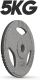 Physionics Litinový kotouč, 5 kg, 31 mm